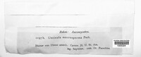 Image Associated With the Occurence